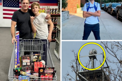 Tragedy Strikes Brooklyn Waterfront: 16-Year-Old Timothee Englund Plunges to His Death from Park Tower While Snapping Social Media Photos of Skyline — Family Devastated, Sister Pleads “Stop Climbing”