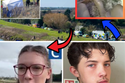 30 Seconds of Silence and a Five-Minute Fight for Life: Survivors Recount the Final Moments Before Declan Berry’s Volkswagen Polo Plunged into the River Nene