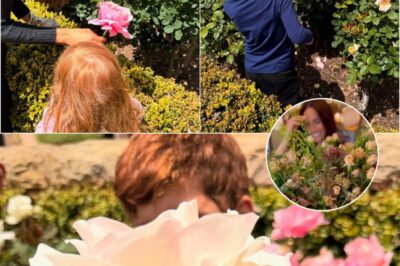 “NO ROYAL PROTOCOL, NO PALACE — JUST A SIMPLE FLOWER VIDEO THAT QUIETLY REVEALS EVERYTHING ABOUT Meghan Markle AND Prince Harry’S NEW LIFE, AS ONE SOFT WHISPER CHANGES HOW PEOPLE SEE THEM FOREVER”