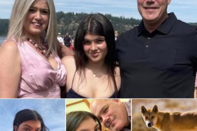 The comprehensive forensic examination, combined with witness statements, drone footage from nearby campers