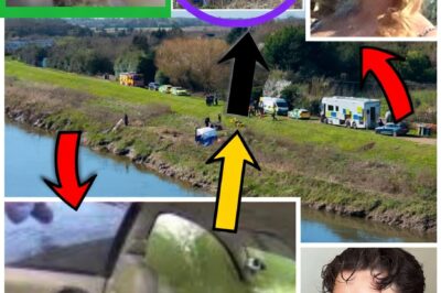 HORROR IN THE SEAT: Survivors Claim ‘Something Shocking’ Caused Declan Berry’s Violent Swerve Before River Plunge