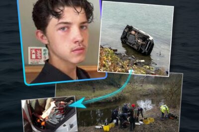 THE EMPTY SEAT’S SILENT WITNESS: Leaked Forensic Photos Reveal ‘High-Value’ Item Found in Declan Berry’s Wrecked Car—As Search for Missing Teen Turns Dark