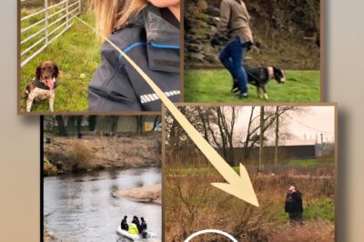 The Silent Witness: Why the ‘Eerie Calm’ of Nicola Bulley’s Dog and Phone is Driving the Internet into a Conspiracy Frenzy