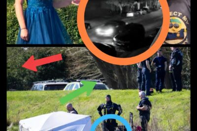 THE 8:25 PM MOMENT: Investigators Trace Declan Berry’s Final Seconds on Deadly ‘North Brink’ Stretch