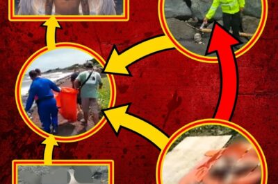 Witness accounts and police reports describe a coordinated, military-style operation: a convoy of vehicles suddenly appeared