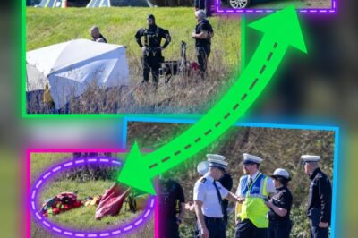 THE SOUND OF SILENCE: No Mayday Call from Declan Berry Prior to River Plunge—As Mysterious ‘Small Object’ Found in Footwell Grips Investigators