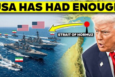 US Forces Sink 9 Iranian Warships in Major Blow to Tehran’s Navy Amid Escalating Conflict