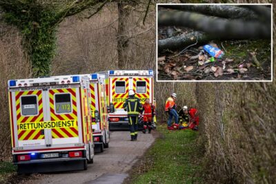 The 100-Foot Giant That Waited: Deadly Tree Collapse in Germany Raises Questions Over Missed Warnings
