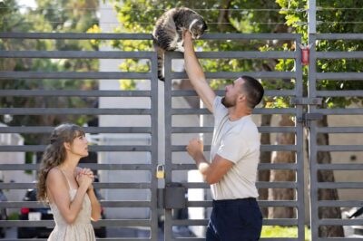 Taylor Swift & Travis Kelce’s Romantic Stroll Turns Heroic: Couple Climbs Fence to Rescue Trapped Kitten in Heartwarming Surprise