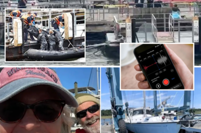 Did He Really Throw Her Overboard? Daughter Reveals Husband’s Deadly Threat Before Mom’s Mysterious Disappearance in Bahamas