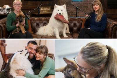 Kelce Chaos Unleashed: Kylie Drops a Puppy Bombshell – Then the ‘D’ Word Turns Naming Night into Comedy Gold!