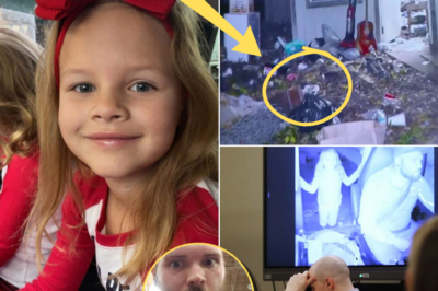 Evidence Trail in the Athena Strand Case: How Investigators Built Their Case Step by Step