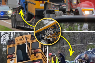 Bus Stopped, But Questions Are Just Beginning: Investigation Focuses on Final Seconds Before Memphis Crash