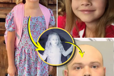 A Delivery That Turned Deadly: Court Filings Detail Final Moments in Athena Strand Case
