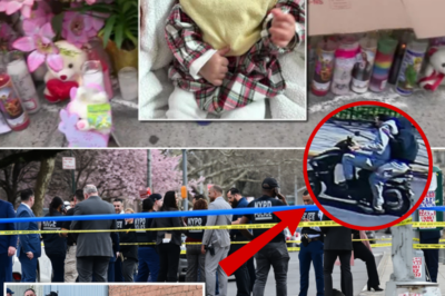 “They’re Hiding Something?” Claims Around Brooklyn Shooting Draw Scrutiny as Investigation Continues