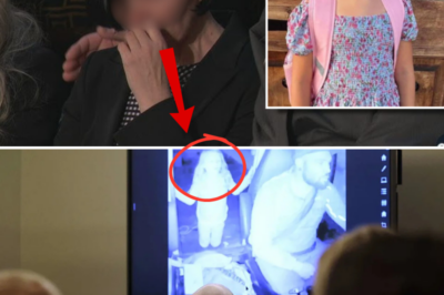 “She Knew I Was Waiting for Her at Home”: What the Evidence Shows in the Athena Strand Case