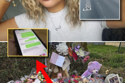 Chilling Final Message Raises Questions in Megan Swann Crash Investigation