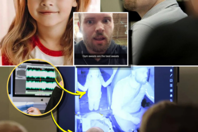 Audio Evidence Claims in Athena Strand Case: What Is Known—and What Is Not