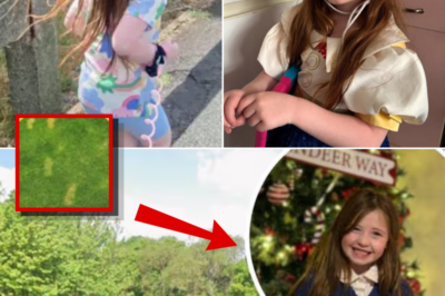 Nyla May Bradshaw Timeline Under Scrutiny as New Details Emerge