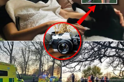 Finbar Sullivan Case: Questions Mount Over Final Moments on Primrose Hill