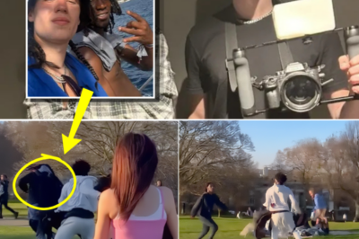 The “5 Seconds” That Changed Everything: Video Evidence at the Center of Finbar Sullivan Investigation