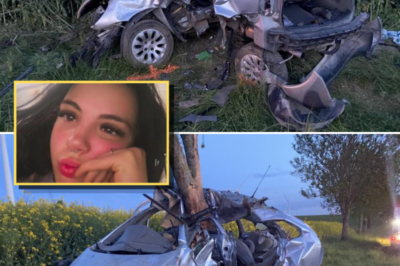 Four teenagers killed in single-vehicle crash in France’s Marne region