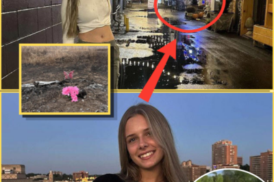 Final Social Media Post by Tessa Walker Draws Attention as Investigators Examine Timeline