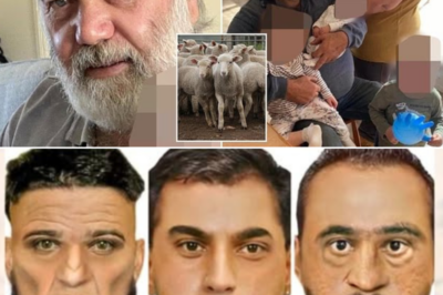 Brutal Murder of Victorian Farmer Richard Wills Sparks Fear Among Rural Communities