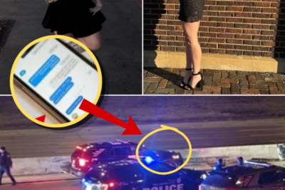 Oklahoma I-40 Case: Forensic Evidence Raises Questions After Fatal Fall
