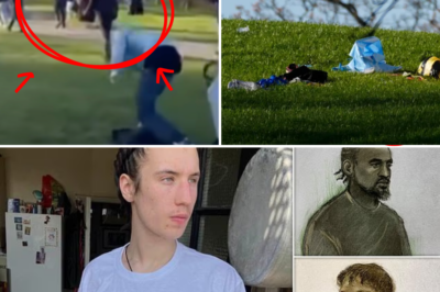 😱 He Went to Test His New Camera… But Ended Up Cornered by Five Men! 21YO Film Student Finbar Sullivan Stabbed to Death on Primrose Hill — Shocking Court Testimony 💔