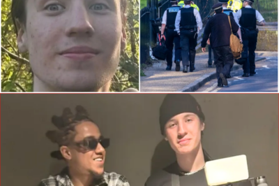 Talented 21-year-old filmmaker Finbar Sullivan went to Primrose Hill with his new camera… and was stabbed to death in front of everyone 😱 What really happened in that viral fight video? 👀
