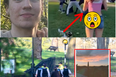 ❤️🔥 The Witness Who Recorded The Whole Primrose Hill Stabbing Has Gone Missing! Her Phone Footage Could’ve Solved The Murder… But She’s Been Erased 👀