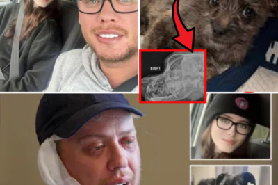 ❤️‍🔥 The Gentle Dog That Slept On Her Bed Every Night Killed Jamie-Lea, 19 — Vets Just Revealed The Shocking Truth: A Growing Brain Tumour???