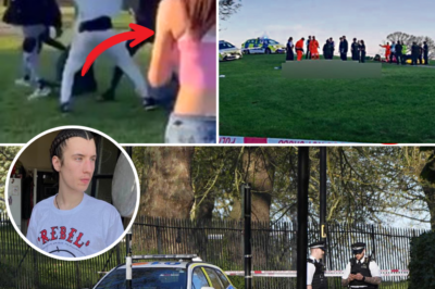 ⚠️ “Why are you filming me, you little prick?” – The argument that ended in murder 21-year-old aspiring filmmaker Finbar Sullivan killed on Primrose Hill in broad daylight 💔 Accused says “Police got the wrong person.” Urgent appeal for the girl in pink vest, blue shorts & black trainers who filmed it all