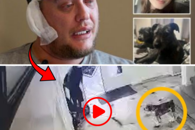 Heartbroken Dad Finds Teen Daughter Mauled to Death by Their ‘Gentle’ Family Dog – Chilling CCTV Captures Every Terrifying Second