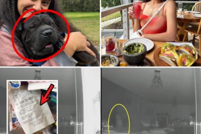 Lucinta Evans’ dog has spent many sleepless nights since its owner died in the accident — every night, at 1:00 AM, it goes to the side of the wardrobe in Lucinta Evans’ bedroom and barks three times🐶