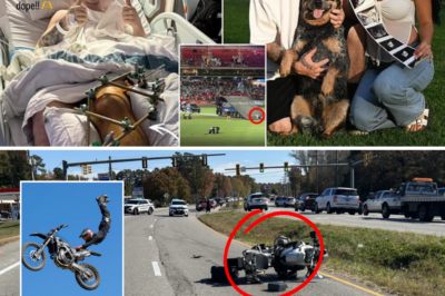 From Hospital Bed to Heartbroken Fans: Motocross Rider’s Brave Message After Horrific Crash at Sydney Royal Easter Show – As Pregnant Wife Admits ‘The Road Ahead Is Long and Painful’