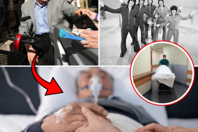 He Sang Through the Pain for Decades — Then Alan Osmond Delivered One Final Heartbreaking Message Before Dying at 76