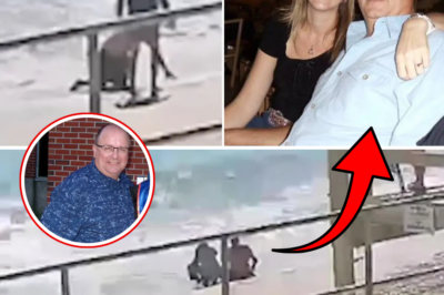 Heroic Vacationer Jumps Into Florida Ocean to Save Drowning Man — Then Discovers She Just Rescued a Double M.u.r.d.e.r Suspect!