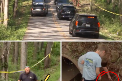 Kids Stumble on Human Skull in South Carolina Creek — Then 50 Weathered Bones Reveal a Chilling DNA Mystery