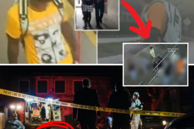 Horror in Broad Daylight: Haitian Illegal Immigrant Bludgeons Mother of Two to D.e.a.t.h with Hammer Outside Florida Gas Station – Chilling CCTV Captures Every Blow