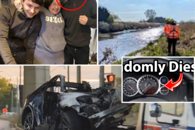 Was Manually Shut Off Right Before The Fatal Plunge Into The River… 💥🚨 Bombshell In Declan Berry Case: The Warning System Was Deliberately Disabled — Just Half A Minute Before The Car Entered The Water… What Does It Mean?