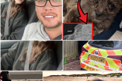 ⚠️ Heartbreaking Twist: Beloved Family Dog That Slept On 19YO Girl’s Bed Every Night Killed Her — Vets Reveal What Really Happened 😢 “Completely Out of the Blue”