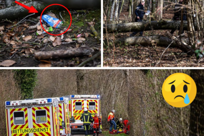 EASTER EGG HUNT TURNS INTO NIGHTMARE HORROR: Young Mother, Her 10-Month-Old Baby and 16-Year-Old Girl Crushed to Death When 100-Foot Tree Topples in High Winds During Family Event in German Woods – “It Was Supposed to Be a Joyful Day”
