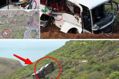 HORROR ON HOLIDAY: SURVIVORS OF DEADLY CANARY ISLANDS BUS CRASH DESCRIBE SCENES LIKE A NIGHTMARE MOVIE AS BRIT PENSIONER, 77, IS KILLED – POLICE PROBE BRAKE FAILURE AS CCTV AND BLACK BOX CLUES EMERGE