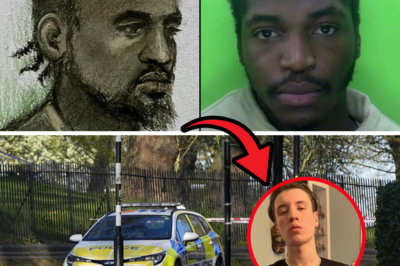 “You Got the Wrong Man!”: 27-Year-Old Suspect Dramatically Proclaims Innocence in Court as He’s Charged with Brutal Murder of 21-Year-Old Film Student Finbar Sullivan on Primrose Hill