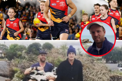 “It’s Horrible”: Adelaide Crows Vow to Wrap Their Arms Around Heartbroken Captain Jordan Dawson Following the Tragic Death of His Brother Jaryd – Club and AFL World Rally in Support as Family Mourns Sudden Loss