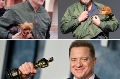 Brendan Fraser’s Adorable Little Sidekick: Meet Pee-Wee, the Teacup Yorkie Stealing Hearts in Hollywood