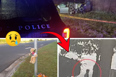 MY BABY… PLEASE WAKE UP: Mother’s Heartbreaking Screams Echo Through Caboolture Streets as Police Reveal Chilling Cause of 3-Year-Old’s Death