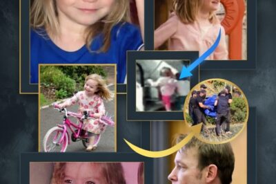 The 540-Second Void: How AI ‘Ghost Pings’ Just Shattered the Prime Suspect’s 19-Year Alibi